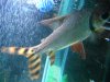 DSCN0663.JPG