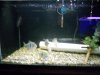 DSCN0765.JPG