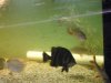 DSCN0545.JPG