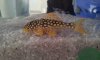 20120603_141927.jpg