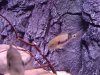 20120516_065841.jpg 20120516_065841.jpg