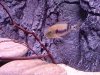 20120516_065849.jpg 20120516_065849.jpg