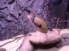 20120521_064818.jpg 20120521_064818.jpg