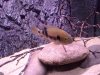 20120521_064825.jpg 20120521_064825.jpg