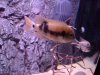 20120521_064847.jpg 20120521_064847.jpg