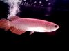 05062012057.jpg
