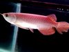 05062012055.jpg