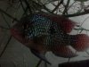uploadfromtaptalk1338866199425.jpg uploadfromtaptalk1338866199425.jpg