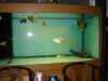 DSC06323.JPG