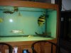 DSC06324.JPG