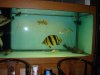 DSC06326.JPG