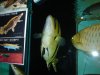 DSC06330.JPG
