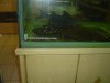 DSC09386.JPG