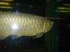 DSC06635.JPG
