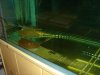 DSC06698.JPG