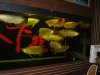 DSC06316.JPG