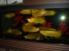 DSC06318.JPG