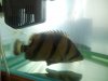 20120601_152448.jpg