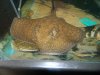DSCN4159.JPG