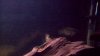 100_2097.JPG