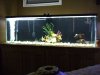 IMG-20120613-00192.jpg
