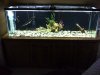 IMG-20120613-00193.jpg