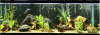 fts.png