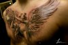 ImageUploadedByMonsterAquariaNetwork1339887286.881500.jpg