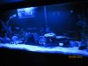 IMG_0776.JPG