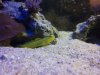 100_2636.JPG