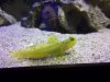 100_2639.JPG