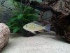20120530013754.jpg