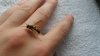 Holding a Wasp & Bee 001.JPG