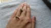 Holding a Wasp & Bee 005.JPG