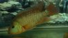 2012-06-25_16-37-12_830.jpg 2012-06-25_16-37-12_830.jpg