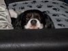 pictures 001.JPG