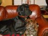 DSCN2011.jpg