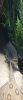 ImageUploadedByMonsterAquariaNetwork1340765616.745607.jpg