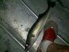 uploadfromtaptalk1341019420112.jpg