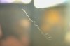 DSCN4843.JPG