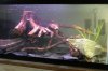 DSCN4845.JPG