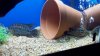 2012-07-01_19-28-30_473.jpg