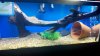 2012-07-01_20-49-25_27.jpg