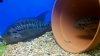 2012-07-01_20-49-46_554.jpg