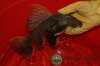 DSC07807.jpg