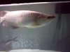 IMG_20120706_202952.jpg