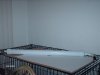 Picture 961 (Medium).jpg Picture 961 (Medium).jpg