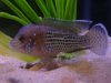 03.02.07 018.jpg