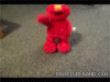 213_elmo-rofl.gif