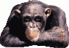 graphics-ok-302810.gif